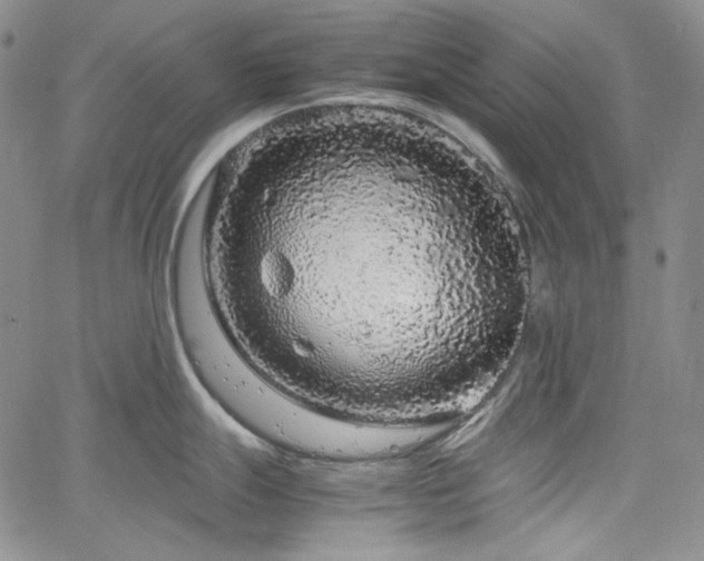 X0000061761247200512021502