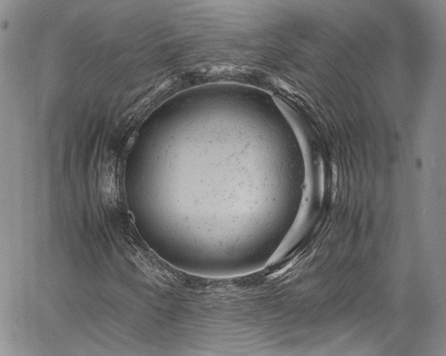 X0000061761250200512021501