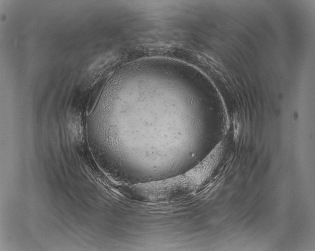 X0000061761252200512021501