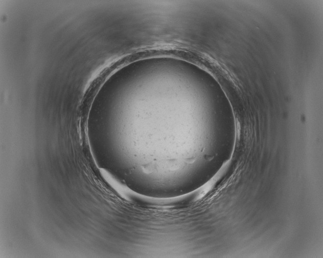X0000061761262200512021501