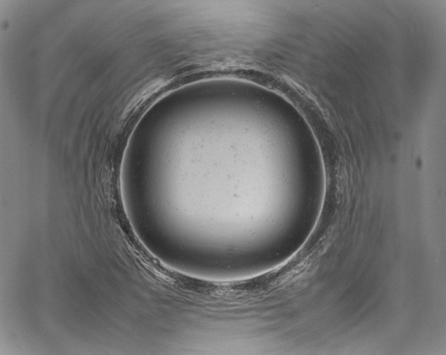 X0000061761265200512021501