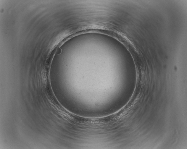 X0000061761266200512021501