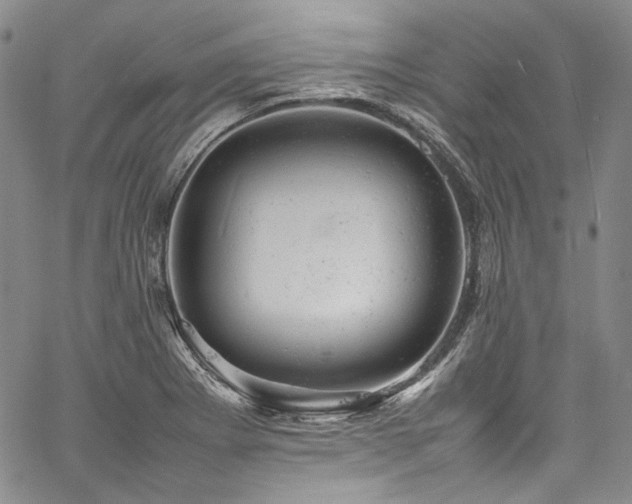 X0000061761273200512021501