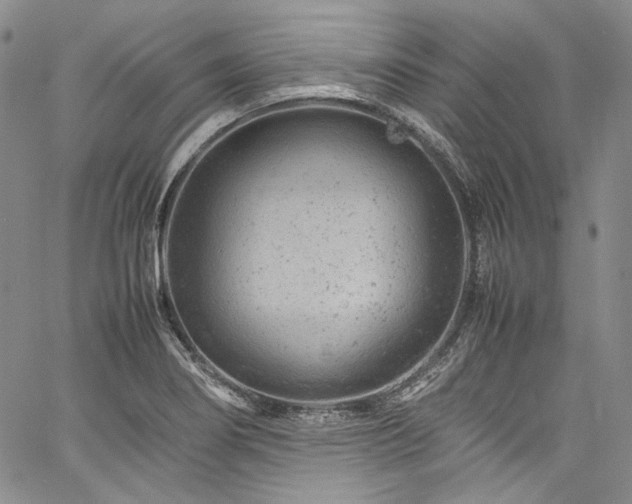 X0000061761274200512021500