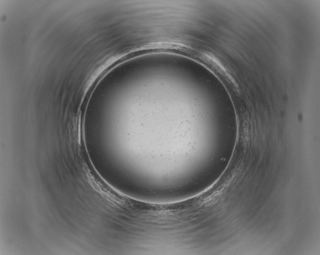 X0000061761276200512021500