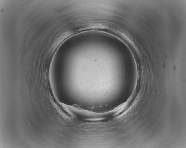 X0000061761281200512021500
