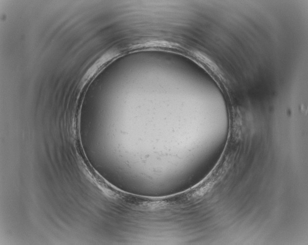X0000061761282200512021500