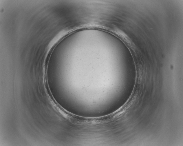 X0000061761286200512021500