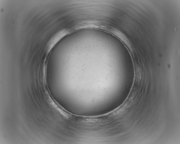 X0000061761290200512021500