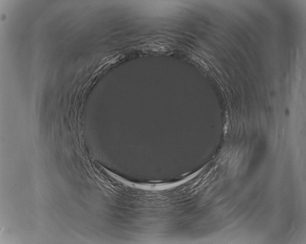 X0000061761297200512021459