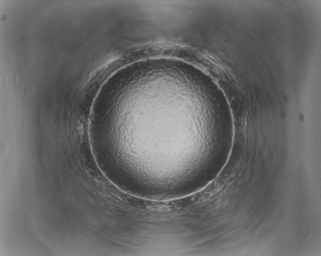 X0000061761302200512021459