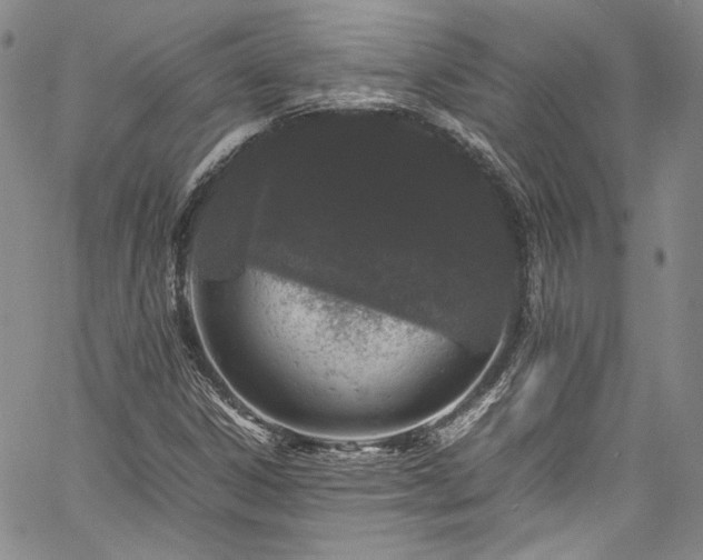 X0000061761306200512021459