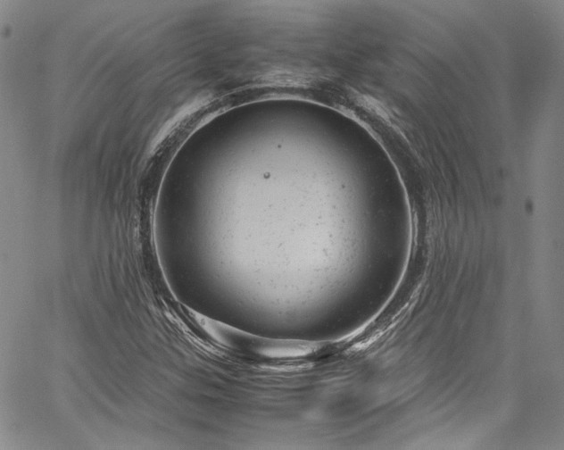X0000061761307200512021459