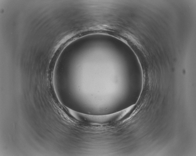 X0000061761308200512021500