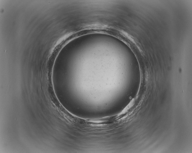 X0000061761315200512021500