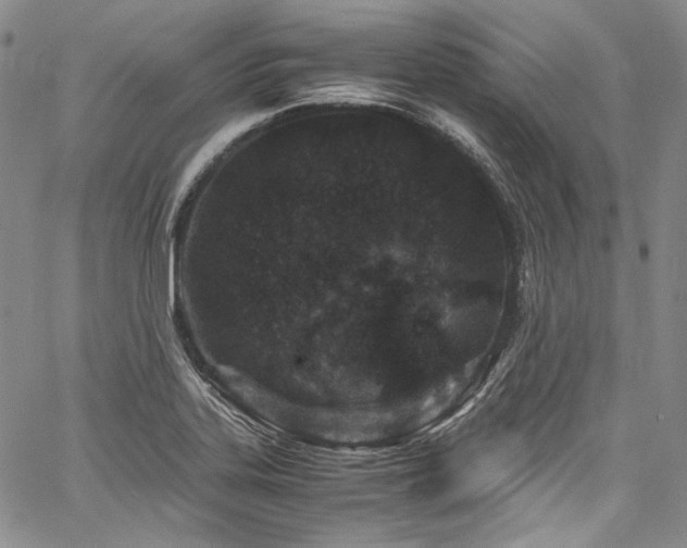 X0000061761323200512021500