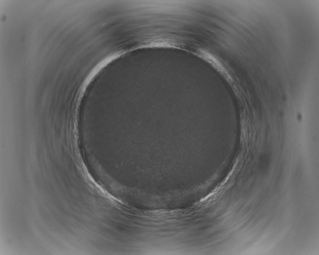 X0000061761331200512021500
