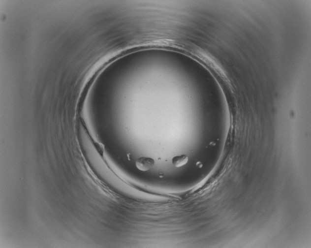 X0000061761332200512021500