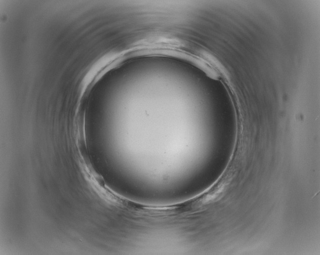 X0000061761344200512021500