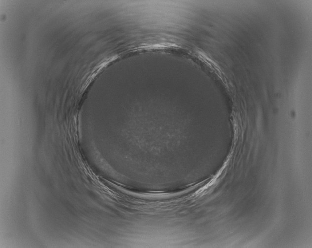 X0000061761353200512021459