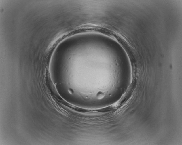 X0000061761355200512021459