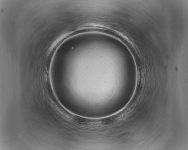X0000061761363200512021459