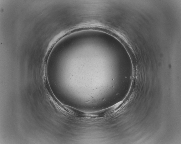 X0000061761366200512021459