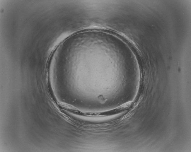 X0000061761367200512021459