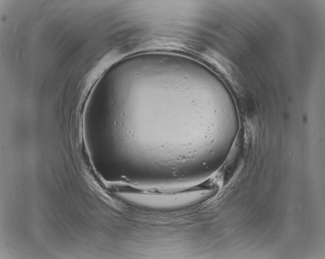 X0000061761371200512021459