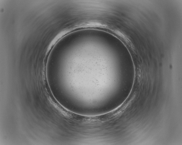 X0000061761374200512021459