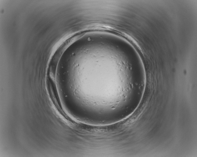 X0000061761379200512021459