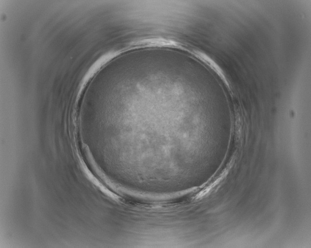 X0000061761381200512021459