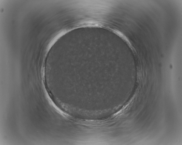 X0000061761383200512021459