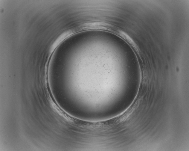 X0000061761386200512021459