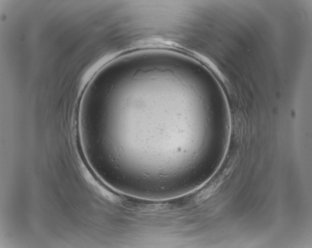 X0000061761387200512021459