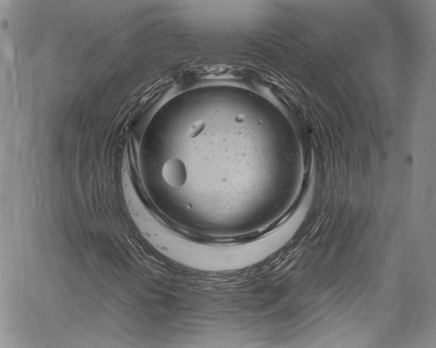 X0000061761394200512021458