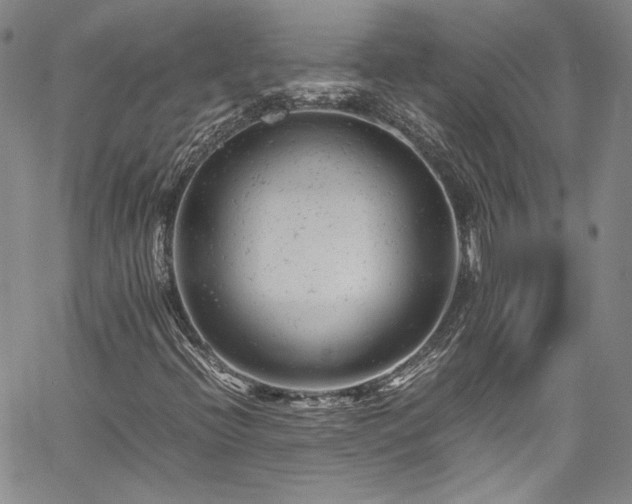 X0000061761396200512021458
