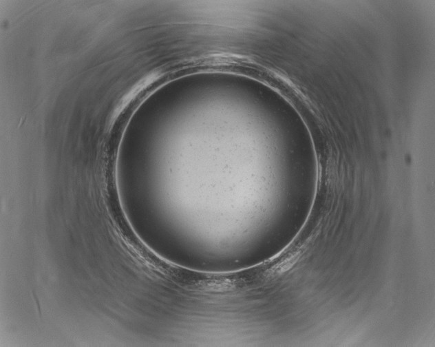 X0000061761410200512021458