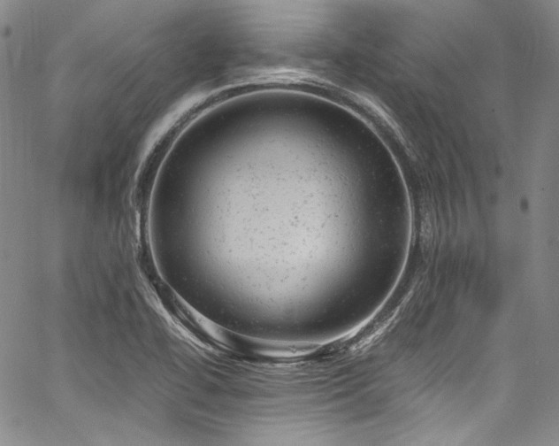 X0000061761414200512021458