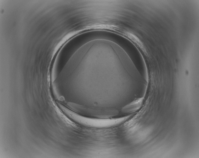 X0000061761428200512021458