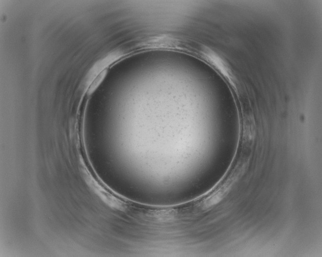 X0000061761434200512021458