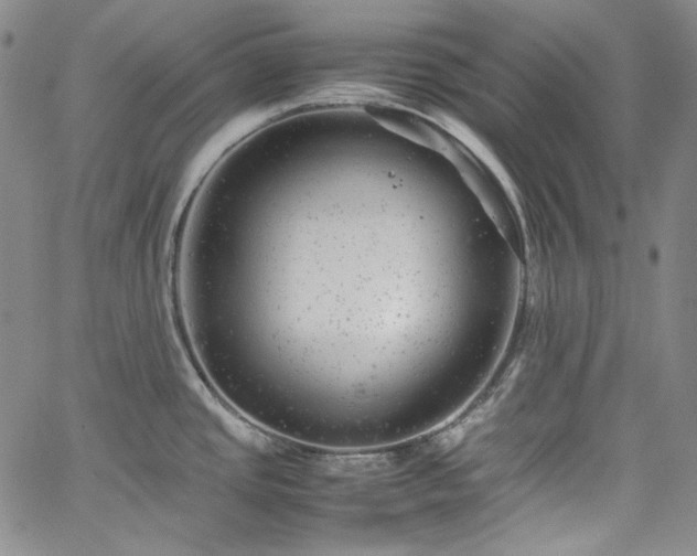 X0000061761437200512021458