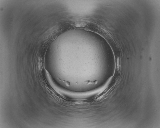 X0000061761443200512021458