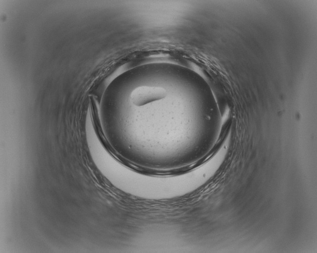 X0000061761445200512021458