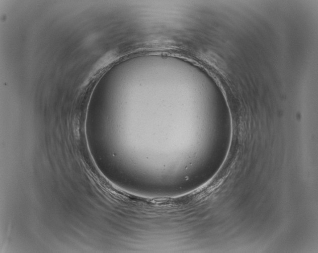 X0000061761451200512021458