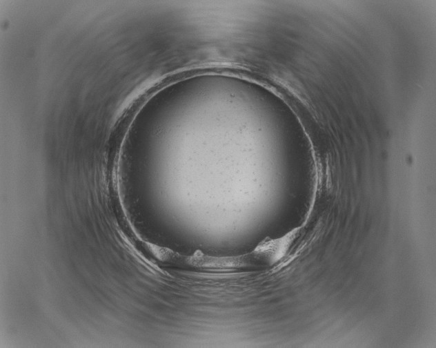 X0000061761452200512021458