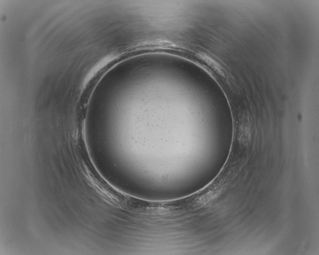 X0000061761458200512021457