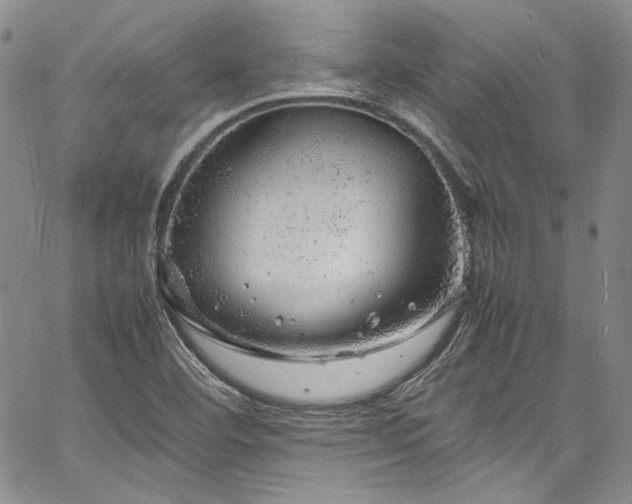 X0000061761460200512021457