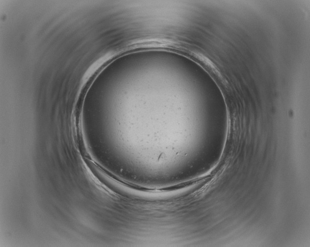X0000061761466200512021457