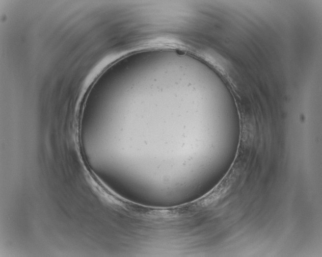 X0000061761478200512021457